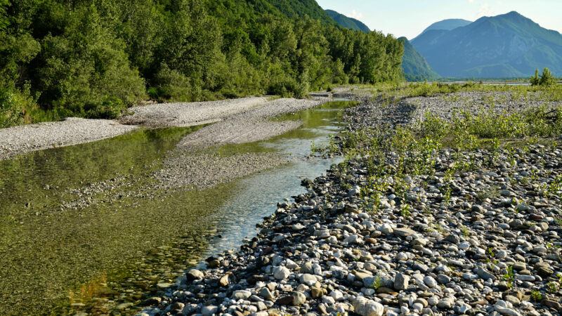 Ruhiges Fließgewässer in Flussbett