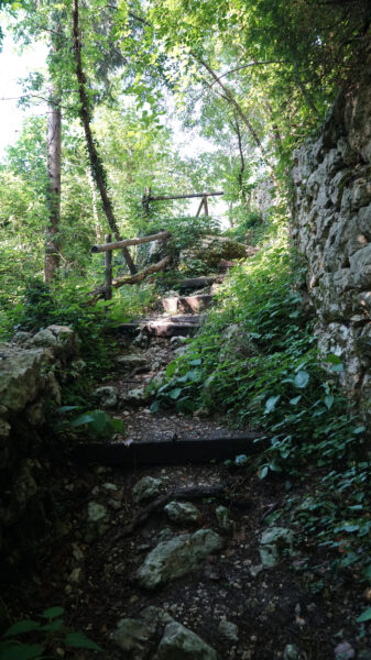Treppe Ende Waldweg
