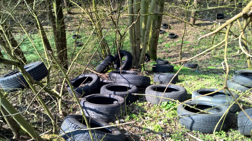 Im Wald entsorgte Autoreifen