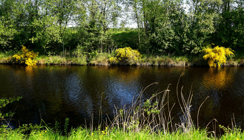 Ginster Ufer Moorentwässerungskanal