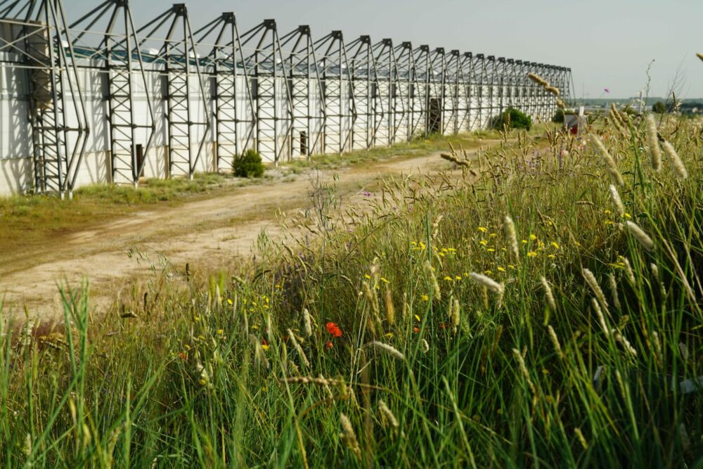 Matera leer stehende Kompostierhalle