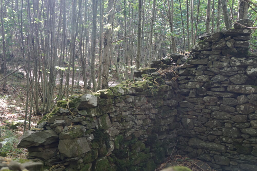 Reste einer Mauer im Wald