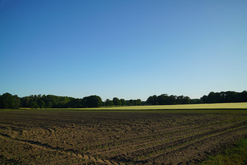 Landschaft im Westmünsterland