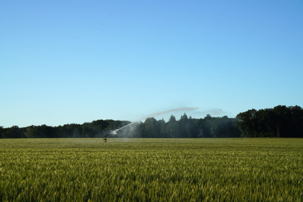 Westmünsterland, Wassersprenger auf Kornfeld