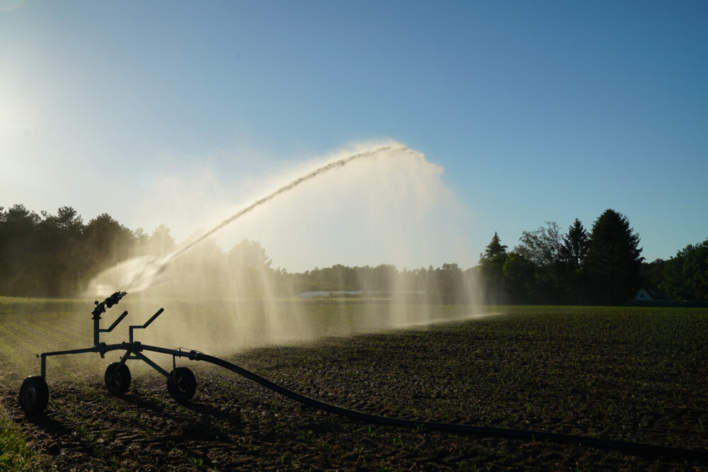 Westmünsterland Wassersprenger auf Feld